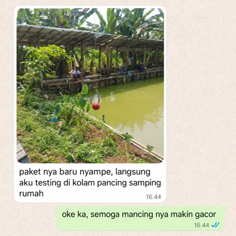 Chat pembeli: foto umpan merah di kail di tepi kolam pancing, dengan pesan: paket nya baru nyampe, langsung aku testing di kolam pancing samping rumah