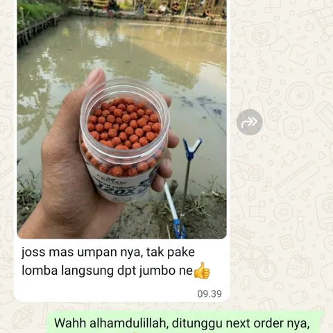 Chat pembeli: botol berisi pelet dipegang di tepi kolam, dengan pesan: joss mas umpan nya, tak pake lomba langsung dpt jumbo ne